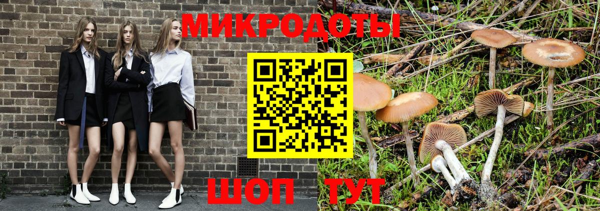 Псилоцибиновые грибы Psilocybe Прокопьевск