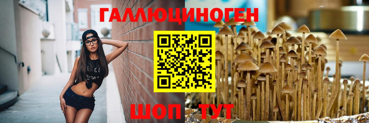 Псилоцибиновые грибы MAGIC MUSHROOMS  Вход с VPN  Прокопьевск 